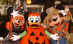 Mickey's Not So Scary Halloween Party Costume Tips for Grown-Ups