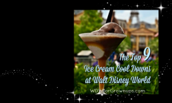 Top 9 Ice Cream Cool Downs at Walt Disney World