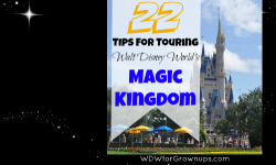 22 Top Tips For Touring The Magic Kingdom