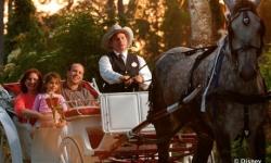 Carriage Rides at Disney World