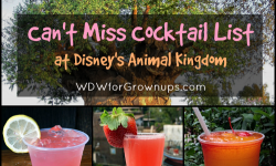 My Can't Miss Cocktail List At Disney's Animal Kingdom