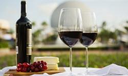 Chase Cardholder Lounge Returns to the 2014 Epcot Food and Wine Festival