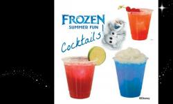 Fun Cocktails For a Frozen Summer