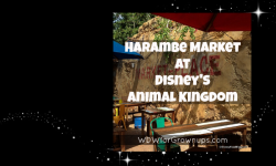 The New Harambe Market At Disney's Animal Kingdom