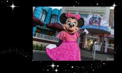 Minnie’s Seasonal Dine Will Be Offered Year-Round at Hollywood & Vine in Disney’s Hollywood Studios