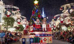 10 Things To See During The Holidays At Walt Disney World 
