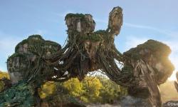 Disney News Round-Up: Learn to Speak Na’vi, New Photo Capture at Pirates of the Caribbean, and More