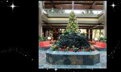 Disney’s Polynesian Village Resort Debuts Redesigned Lobby 
