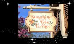 Enjoy a Citrus Swirl at the Sunshine Tree Terrace in the Magic Kingdom