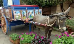 A Self-Indulgent Snack At The Via Napoli Donkey Cart