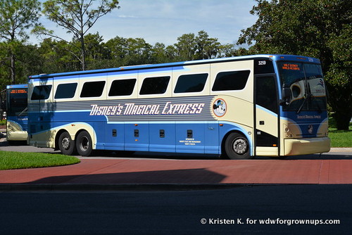 Arrive From MCO On Disney's Magical Express