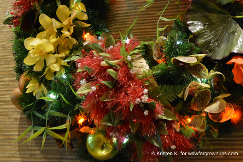 Orchids and Wings of the Tropics