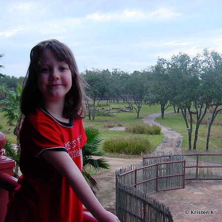 3rd Floor Savanna View Room at Disney's Animal Kingdom Lodge