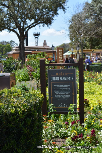 Farming In The City And Suburbs