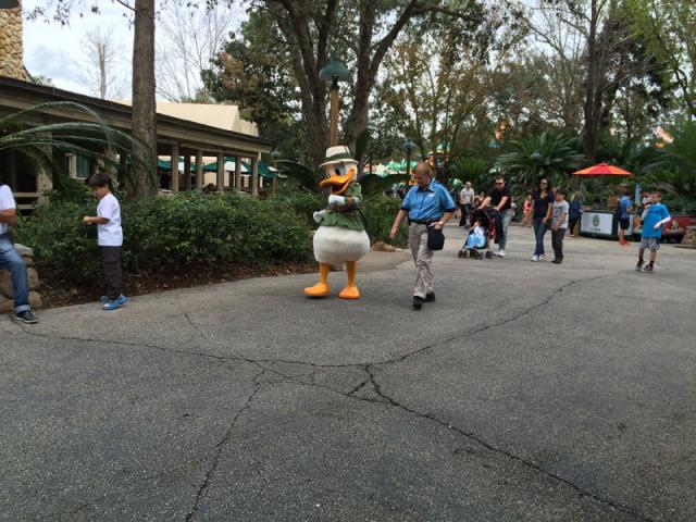 donaldduck.jpg