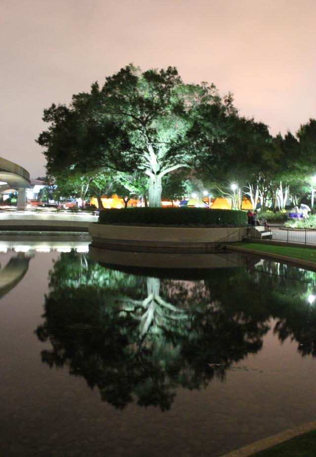 epcot_reflection.jpg