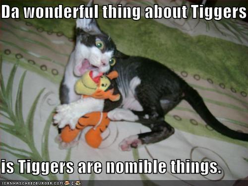 funny-pictures-cat-noms-tigger.jpg