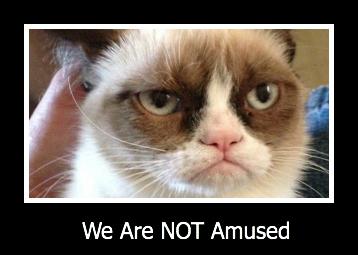 grumpy_cat_is_not_amused.jpg