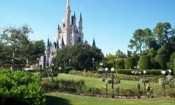 VIP Tours of Walt Disney World