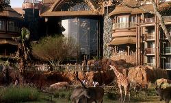 Arusha Savanna Views at Animal Kingdom Lodge Now $30 Extra
