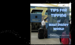 A Few Tips On Tipping at Walt Disney World