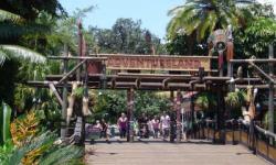 Walt Disney World Rumors: Adventureland and Avatarland