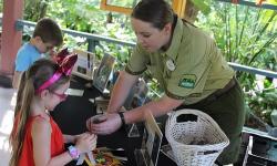 Disney Guests Help Create Animal Enrichment Items at the Animal Kingdom