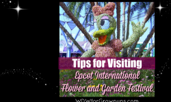 Tips For Visiting Epcot’s International Flower & Garden Festival