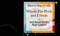 Where To Hang Out With Winnie The Pooh at Walt Disney World’s Magic Kingdom