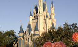 Guests Can Now Get Married in Front of Cinderella Castle at the Magic Kingdom
