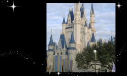 Walt Disney World Resort Bans Selfie Sticks from Theme Parks