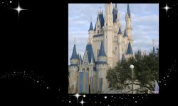 Walt Disney World Resort Hiring Security Staff