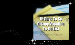 15 Days To Go Disney Vacation To Do List!