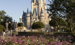 Apple Pay Coming to Walt Disney World Resort in October
