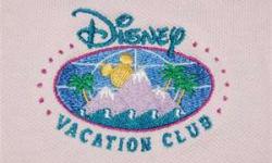 Disney Names New DVC Exec