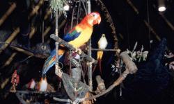 Enchanted Tiki Room to Open This Month