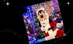 The 2014 Osborne Family Spectacle of Dancing Lights [Video]