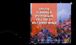 Tips For Planning A Spooktacular Fall Trip to Walt Disney World