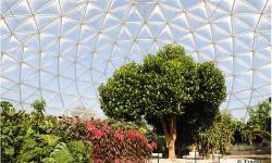 Explore Four Unique Greenhouse Environments On Epcot’s Behind The Seeds Tour