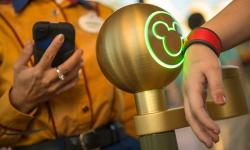 Disney Reports MyMagic+ System is Working for Guests at Walt Disney World