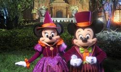 Dates Released for 2017 Mickey’s Not-So-Scary Halloween Party and Mickey’s Very Merry Christmas Party