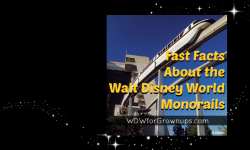 Fast Facts About Walt Disney World Monorails