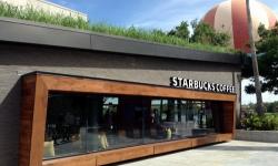 New Starbucks Locations at Disneyland and Walt Disney World Using Interactive Touchscreens