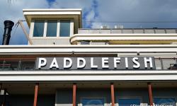 Disney News Round-up: Paddlefish Opens at Disney Springs, Starring Rolls Closes at Disney’s Hollywood Studios, and More