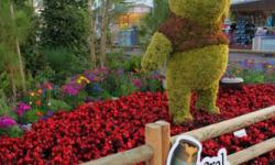 Pooh and Friends at the Epcot Flower & Garden Festival