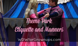 Theme Park Etiquette And Manners