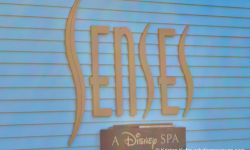 Disney's Senses Spa Day Pass