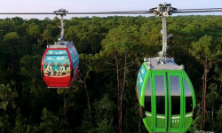 Disney Skyliner Gives Guests A New Perspective In Transportation