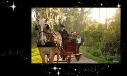 Celebrate the Holidays with a Horse-Drawn Sleigh Ride at Disney’s Fort Wilderness Resort