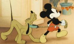 Disney Shorts: Mickey Mouse At The Dog Show